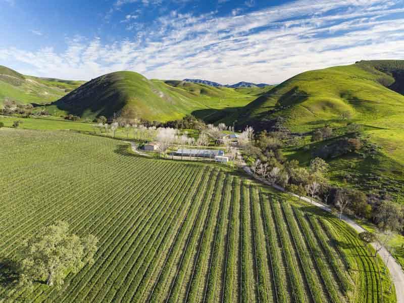 California